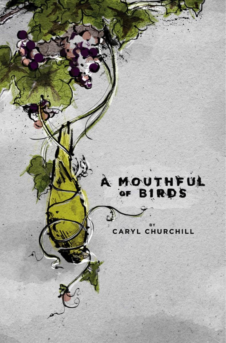 A Mouthful of Birds cover photo